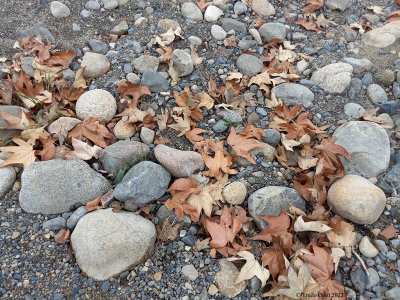 Across rocky streambed