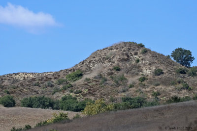 Riley Wilderness Park variety habitats for butterflies