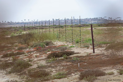 Something new: predator exclusion fence 