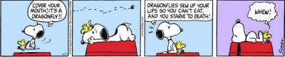 Snoopy's Fun Facts About Dragonflies