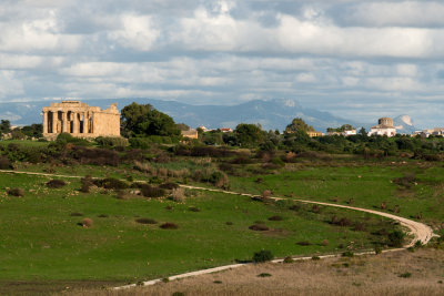 18_d800_2293 Selinunte