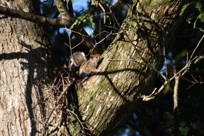 DSC_0007.JPG
