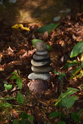 DSC_0015A.jpg