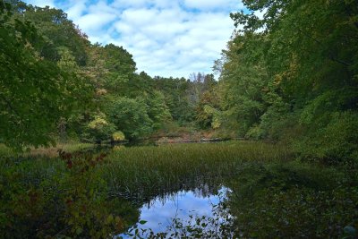 DSC_0055AA.jpg