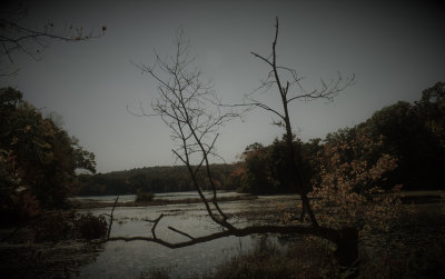 DSC_0024 (2)A.jpg