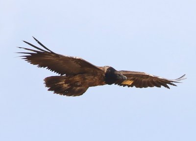 g12/91/964991/3/171669556.OxZUdBiO.jpg