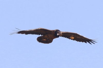 g12/91/964991/3/171669590.heogRj48.jpg