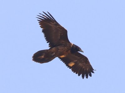 g12/91/964991/3/171669592.CezO8JiU.jpg