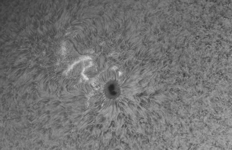AR12738_11april19