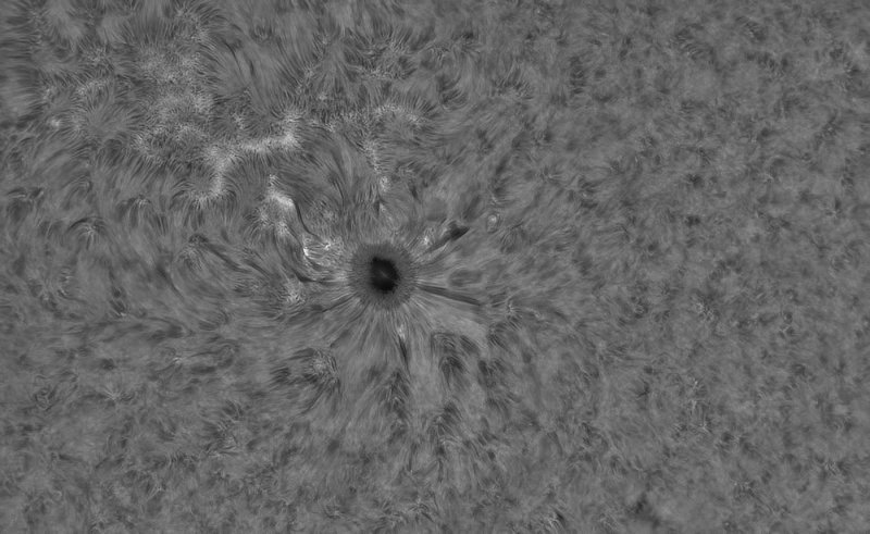 AR12738_13april2019.jpg