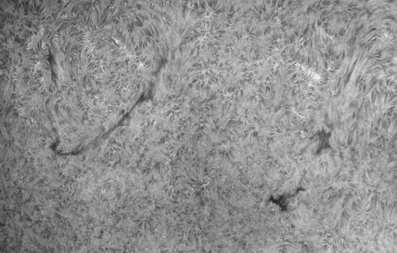 zon_6jun2019.jpg