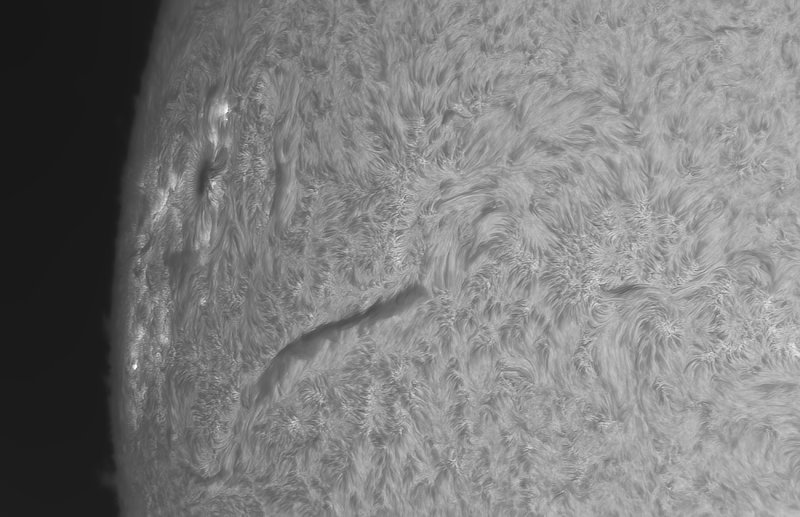 AR2978_28maart2022.jpg
