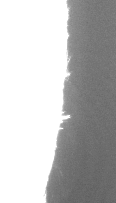 timelapse_3april2022_stretch.gif
