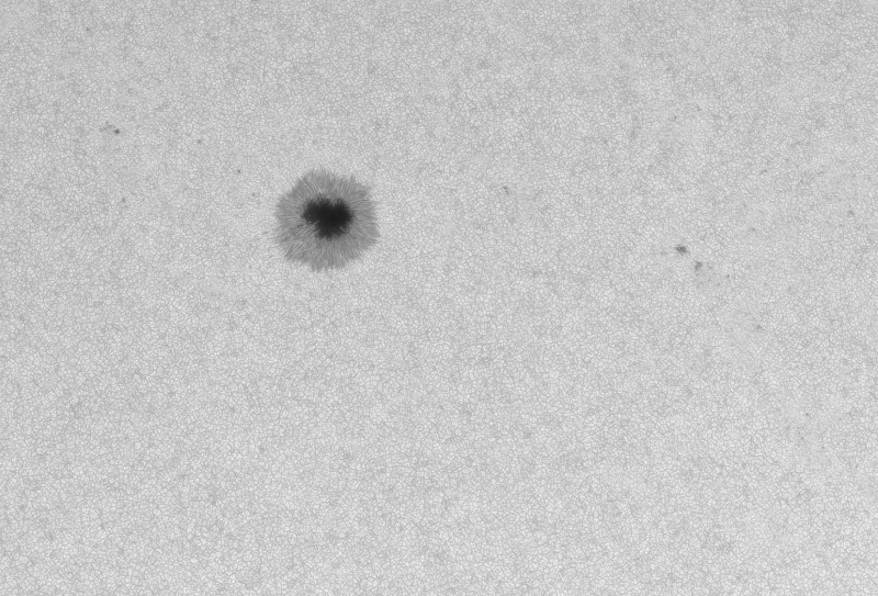AR2995_24april2022.png