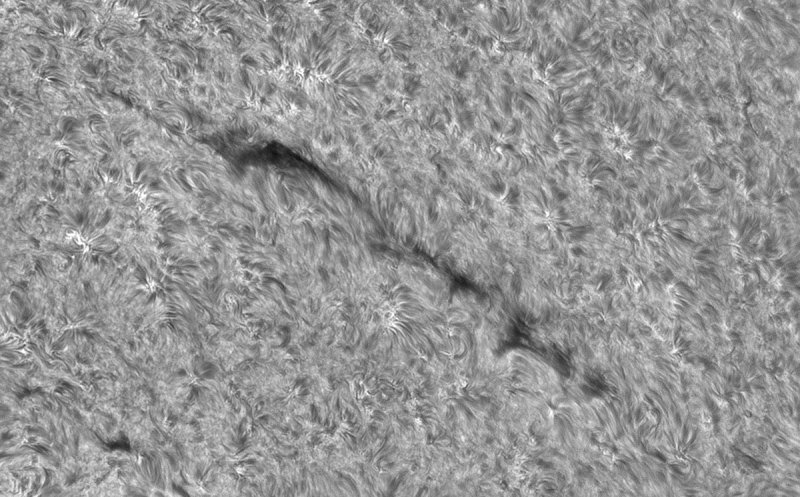 filament_1_12mei2022.jpg