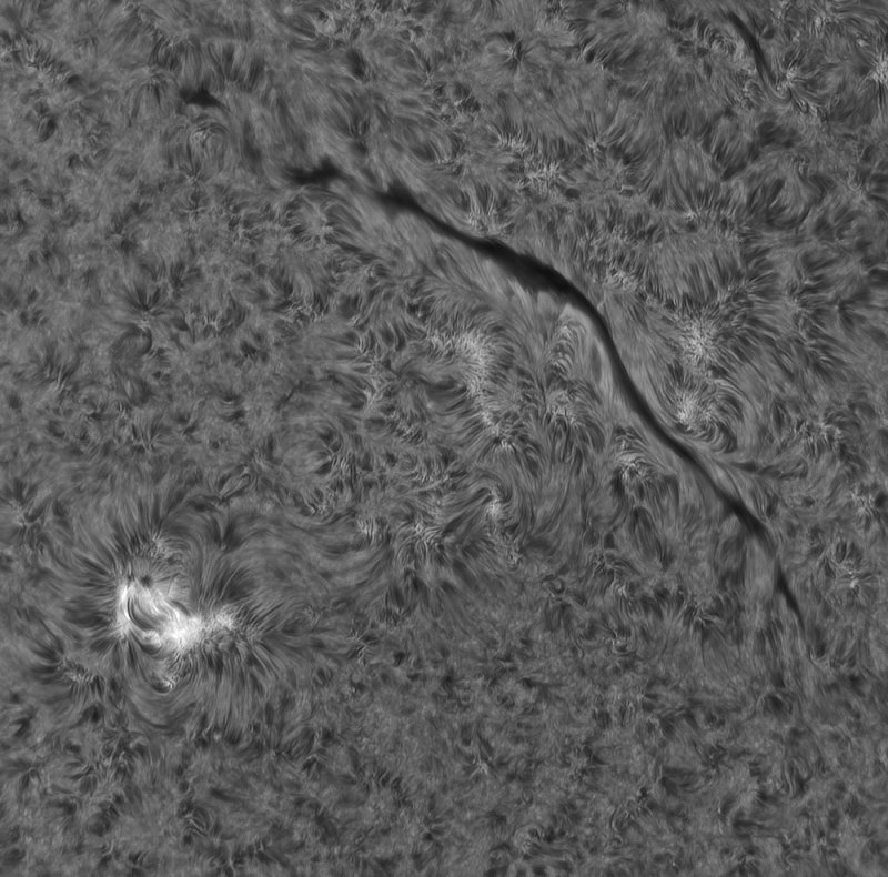 filament_28juni2022.jpg