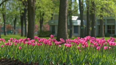 DSCF1759.jpg