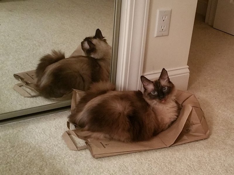 She likes her bag 