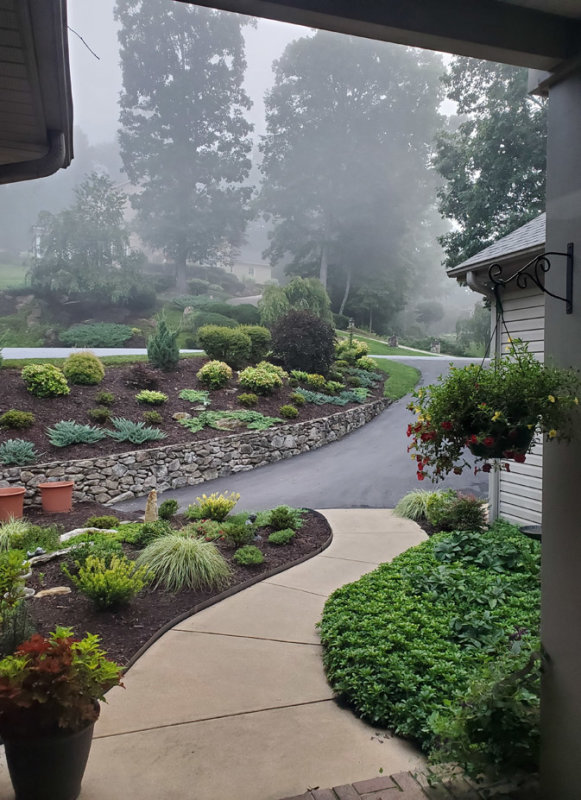 I love foggy mountain mornings