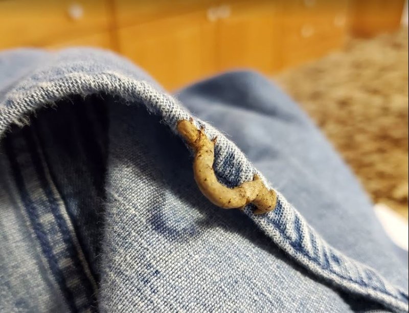 Scared the ---- out of me!