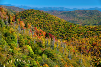 SRX08840_Blue Ridge Parkway