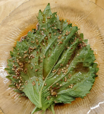 Soy Sauce Marinated Shiso Leaf