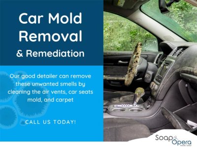 Car Mold Removal and Remediation miami