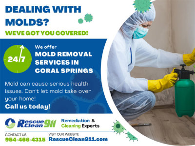 mold removal coral springs fl
