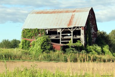 Barns