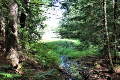 Magical Muskoka