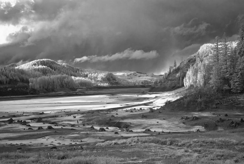 SOGGY STUMPS AND RAIN SHAFTS-IR