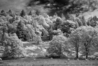 RIDGE LINE-IR