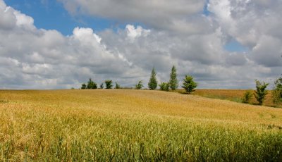 _DSC6097.jpg