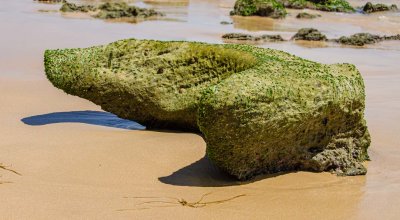 _DSC6713.jpg