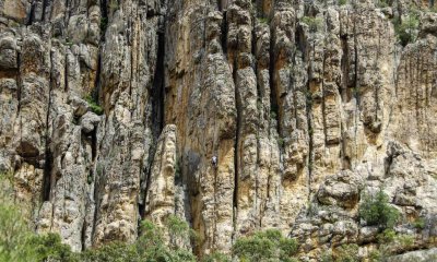 _DSC8700.JPG