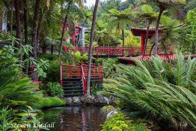 Tropical Gardens - Funchal