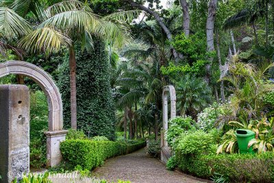 Tropical Gardens Funchal