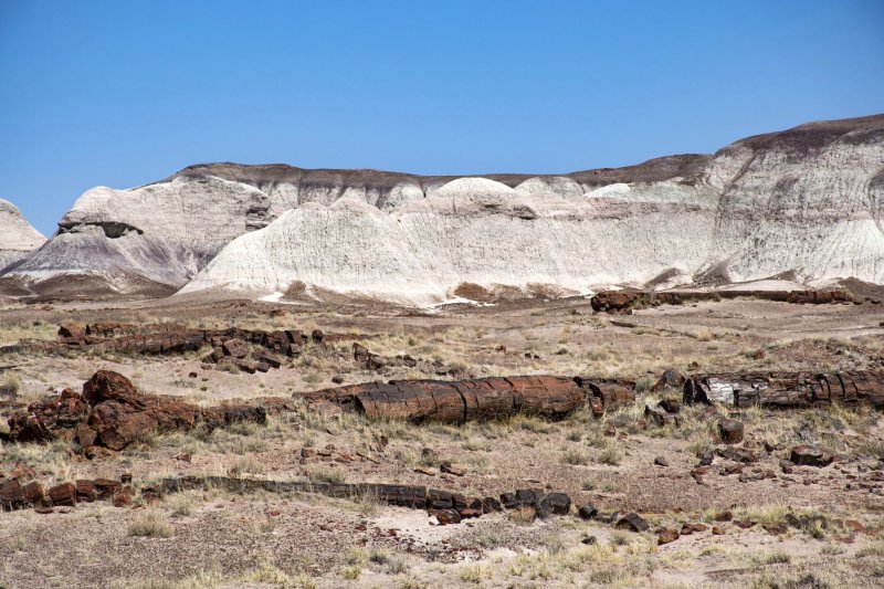 WHF_0107.jpg