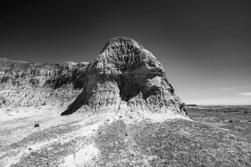 WHF_0122.jpg