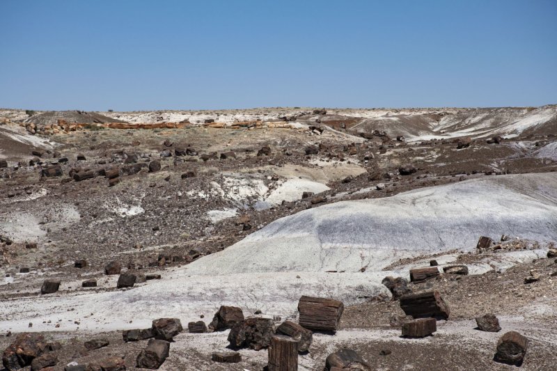 WHF_0134.jpg
