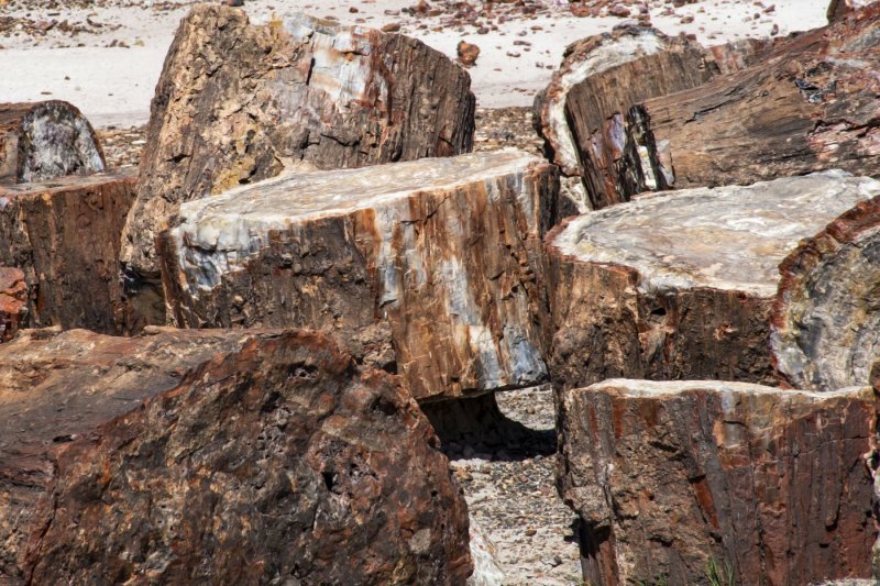 WHF_0144.jpg
