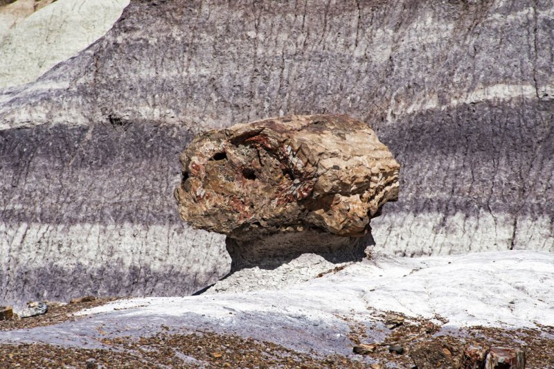 WHF_0263.jpg