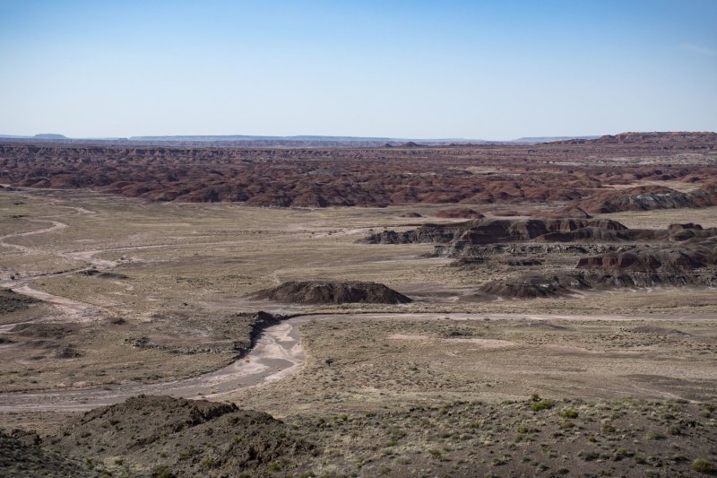 WHF_0278.jpg