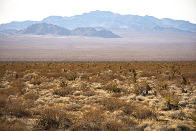 WHF_0864.jpg