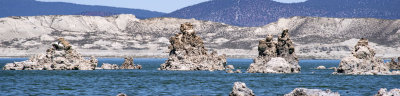 WHF_0908.jpg