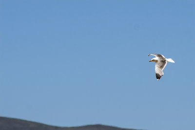 WHF_0913.jpg