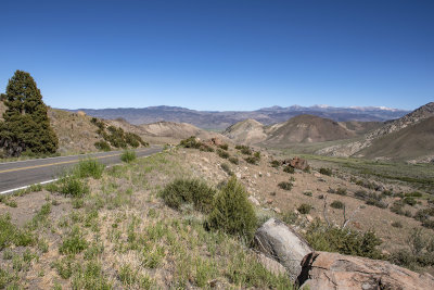 WHF_0921.jpg