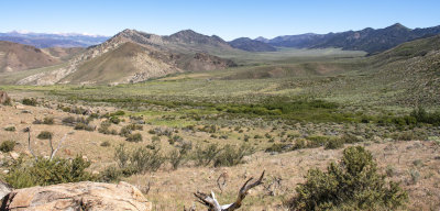 WHF_0922.jpg