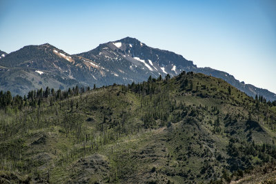 WHF_0932.jpg