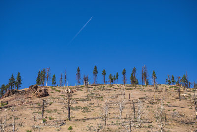 WHF_0936.jpg